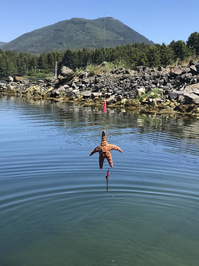 Island West Resort-Motel Ucluelet Bagian luar foto